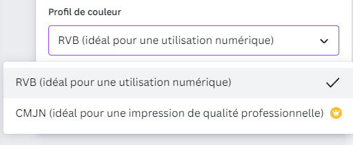 Télécharger un document Canva